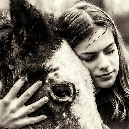 Csoda Birtok דירה סארוואש