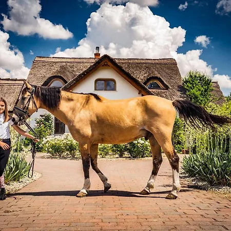 דירה Csoda Birtok סארוואש