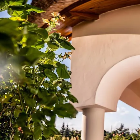 Csoda Birtok דירה סארוואש