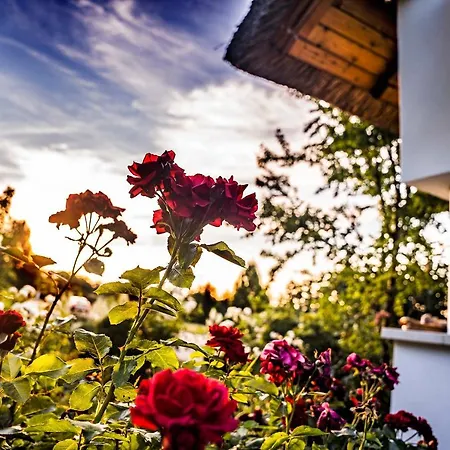 דירה Csoda Birtok סארוואש