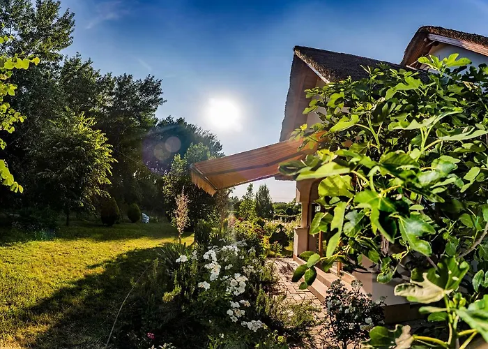 Csoda Birtok Lejlighed