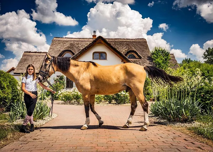 Lejlighed Csoda Birtok Szarvas