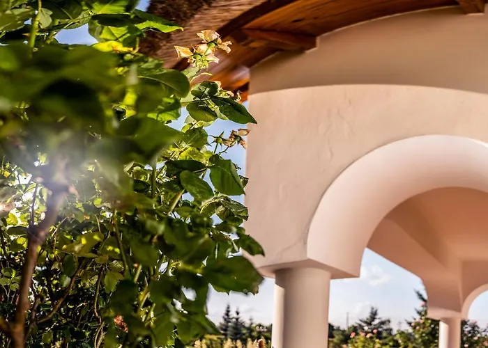 Csoda Birtok Lejlighed Szarvas