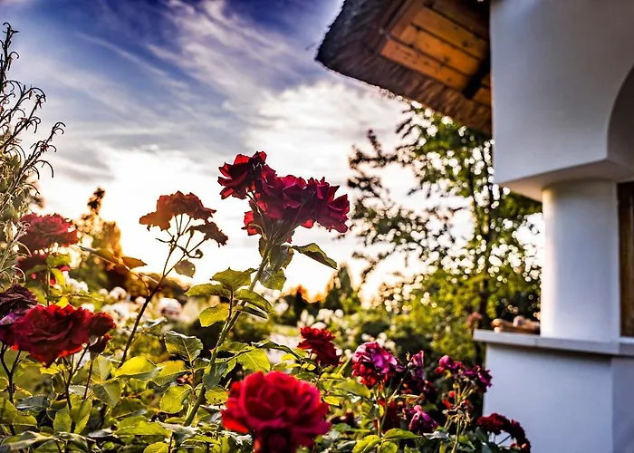 Lejlighed Csoda Birtok Szarvas